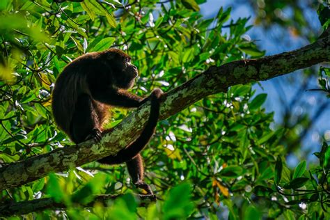 Is Costa Rica Expensive? Actual Costs To Visit In 2024 - AxCessGetaway