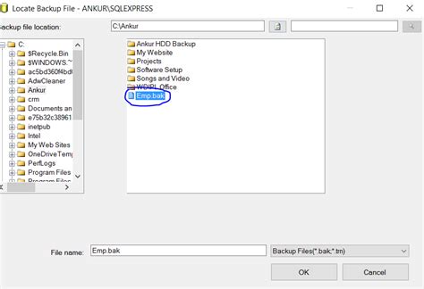 Image result for Restore SQL Server Database From Backup File