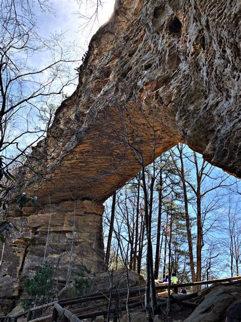 Best Campgrounds Near Red River Gorge Kentucky