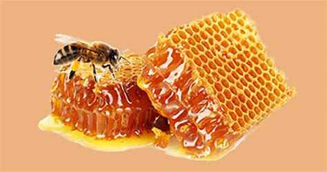 Honey Initiatives