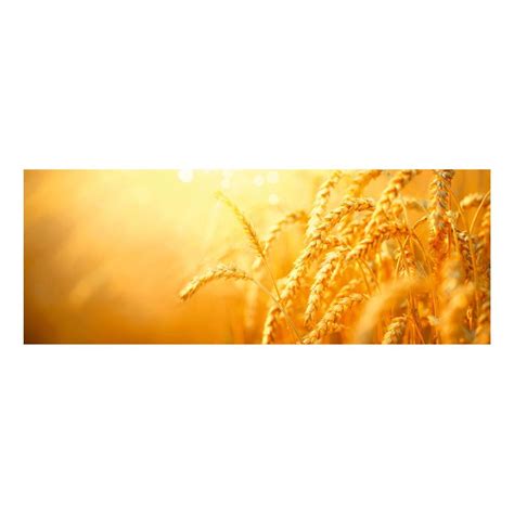 Panou decorativ din sticla, pentru bucatarie / baie, DKEMG87, aspect ...