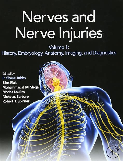 Buy Nerves and Nerve Injuries: History, Embryology, Anatomy, Imaging ...