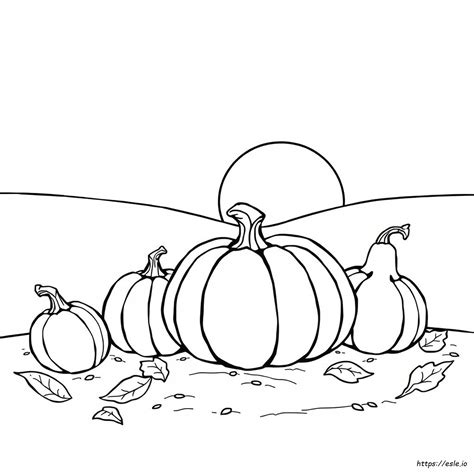 Pumpkin Coloring Page Ideas