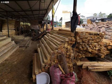 中国木材加工行业发展的必由之路__财经头条