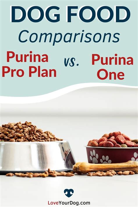 purina one dog food