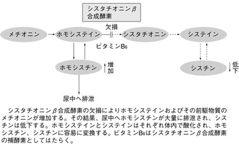 Image result for Source and Destination IP Packet Example