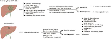 Neoadjuvant and Adjuvant Therapy in Intrahepatic Cholangiocarcinoma