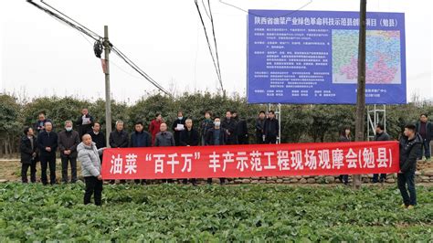 陕西省油菜产业绿色革命科技示范县工作推进会在汉中召开 - 西部网（陕西新闻网）
