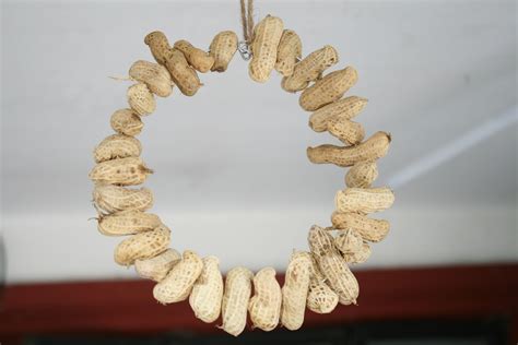 Unshelled Peanuts For Birds at Joel Viveros blog