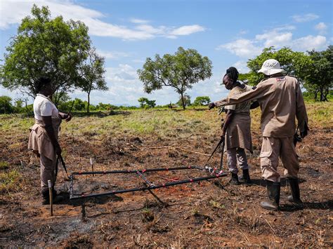 ‘There is always risk’: The Zimbabwean de-miner in South Sudan | Migration | Al Jazeera