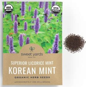 VibeX VXI-2 - Korean Mint Agastache Rugosa - (450 Seeds) Seed Price in ...