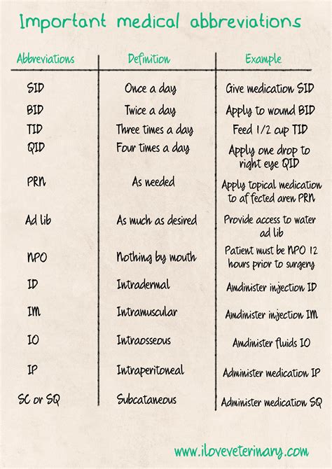 Eye Medical Abbreviations at Gustavo Bishop blog