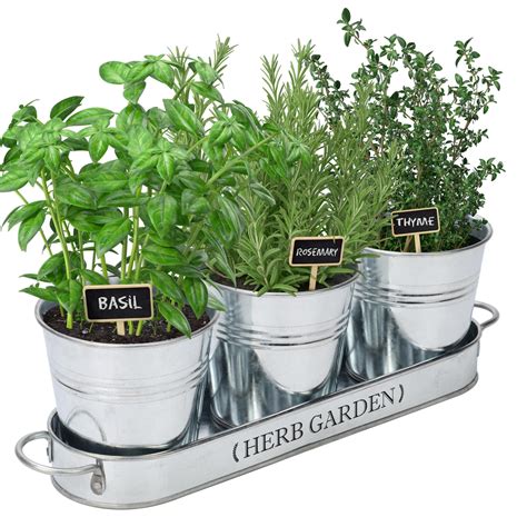 PERFNIQUE Indoor Herb Garden, Herb Garden Planter for Indoor/Outdoor ...