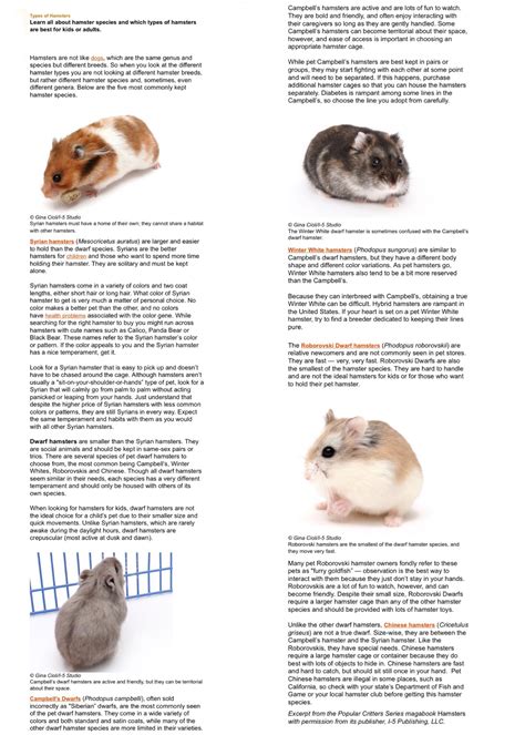 Types of Hamsters | Hamster species, Hamster habitat, Hamsters as pets