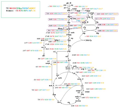 ECMpy, a Simplified Workflow for Constructing Enzymatic Constrained ...