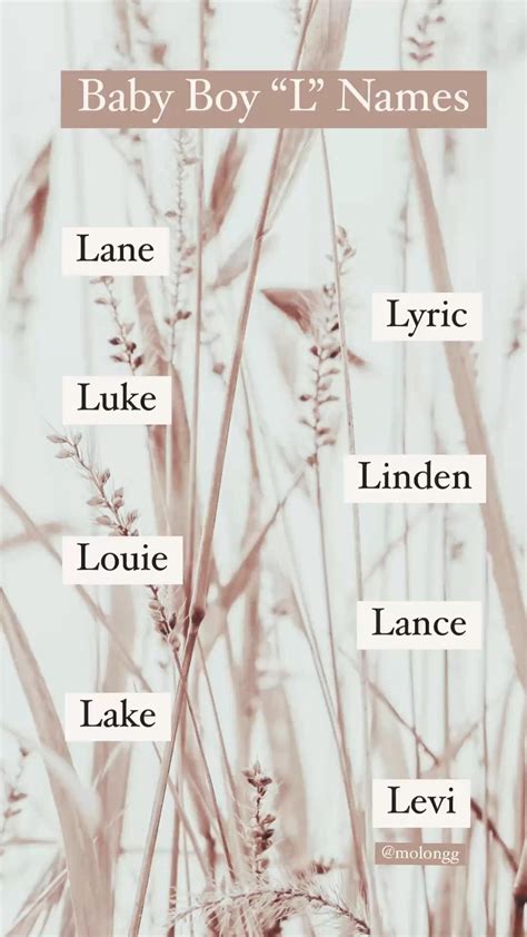 75 unique nature baby names for boys with meanings 2023 – Artofit