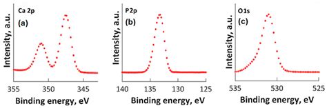 Biocomposite Coatings Doped with Magnesium and Zinc Ions in Chitosan ...