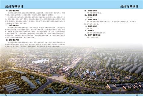 总投资270亿！岳阳45个重大项目集中开工 - 市州精选 - 湖南在线 - 华声在线