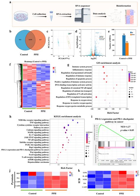 Polyphyllin II Triggers Pyroptosis in Hepatocellular Carcinoma via ...