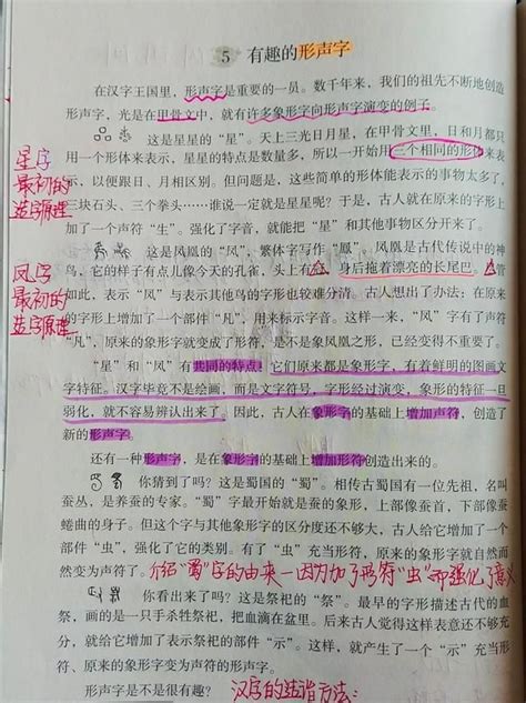 2023使用小学五年级上册英语书课本人教版新起点（一年级起点）新起点5年级英语上册教材【图片 价格 品牌 评论】-京东