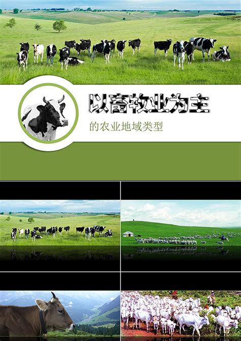 简约清新畜牧养殖业发展宣传PPT模板-PPT牛模板网