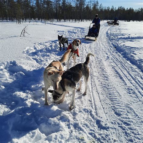 ARCTIC CIRCLE SNOWMOBILE PARK (2026) All You Need to Know BEFORE You Go ...