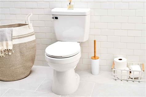 10 Best Toilet Bowl for 2023 | CitizenSide