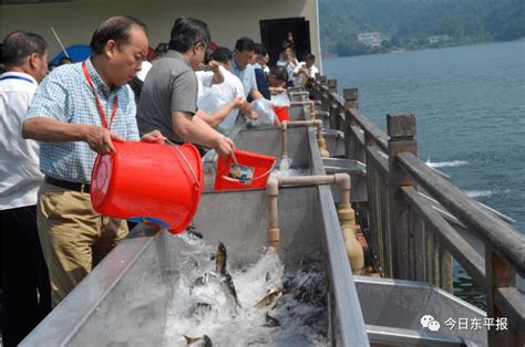 水养鱼 鱼养水！东平湖迎来千岛湖“保水渔业”健康发展新路子_生产