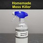 Image result for Homemade Moss Killer for Lawns