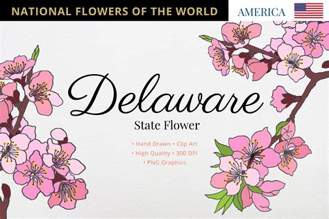 State Of Delaware Flower