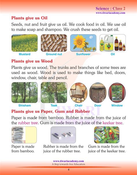 Image result for Class Science Chapter 2