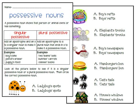 Examples Of Singular And Plural Possessive Nouns - Design Talk