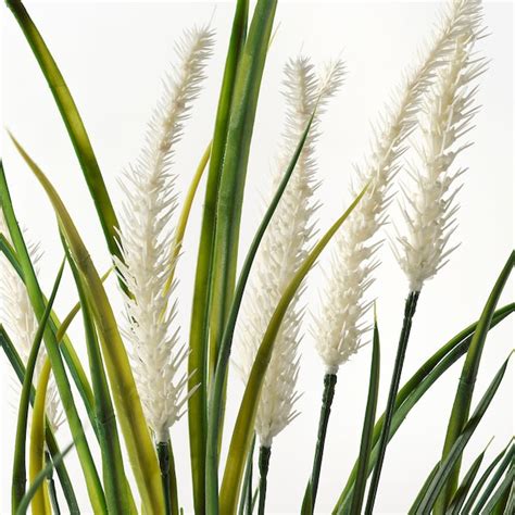 FEJKA artificial potted plant, in/outdoor decoration/grass, 9 cm (3 ½ ...