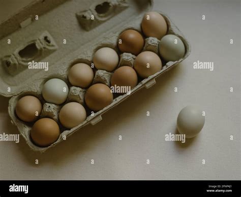 Pasture raised organic egg hi-res stock photography and images - Alamy
