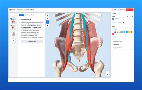 BioDigital | 3D Human Studio