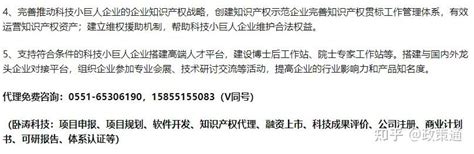 2023年重庆市专精特新小巨人如何认定？附申报条件、申报程序及注意事项！建议收藏~