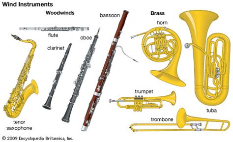 Musical Instruments Categories 的图像结果