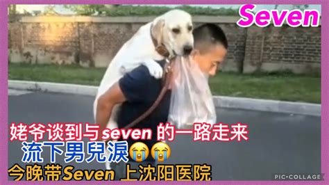 准备带Seven 去沈阳医院🙏2022-10-24直播💕Labrador seven 💕#老四 #赛文 #小迷糊 - YouTube