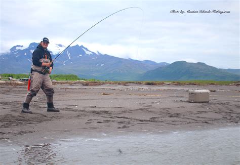 Aleutian Islands Fishing | Alaska Duck Hunting King Eider Hunting