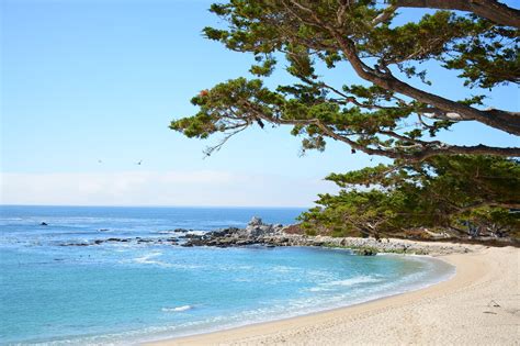 10 Best Beaches in Monterey - Which Monterey Beach is Right For You ...