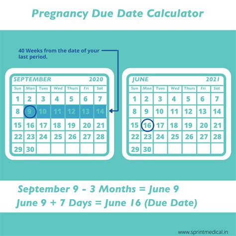 Calculate Due Date Using Ultrasound at Elaine Osborn blog