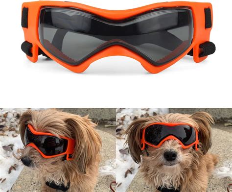 Amazon.com : Dog Goggles Medium Breed, Dog Sunglasses Small Breed Dog ...