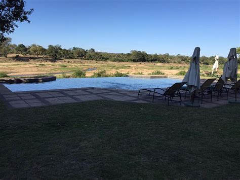 MalaMala Camp Pool: Pictures & Reviews - Tripadvisor