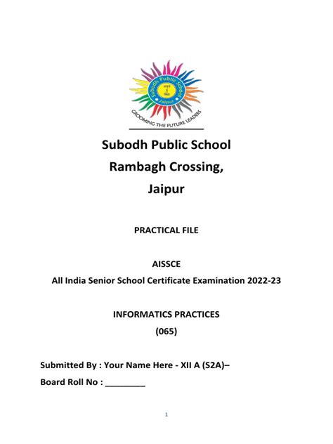 Image result for Practicle File Page