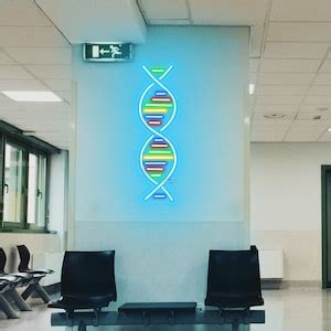 Neon Sign Science 的图像结果