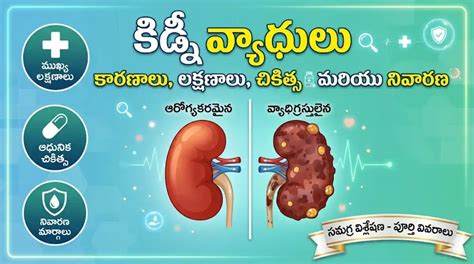 కిడ్నీ వ్యాధులు: కారణాలు, ప్రధాన లక్షణాలు మరియు చికిత్స - Telugu Buzz