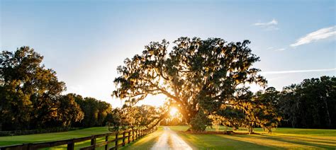 Home - Cherokee Plantation : Cherokee Plantation