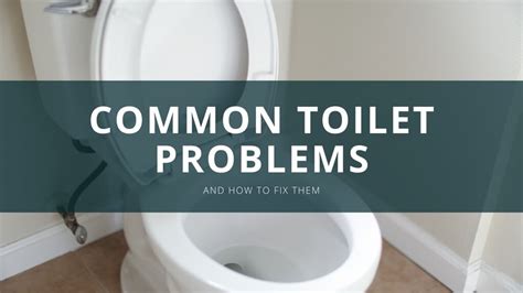 Common Toilet Problems 的图像结果