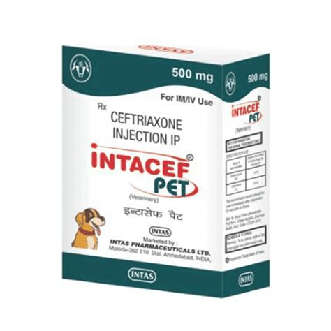 AnimealINTACEF PET 500MG INJ - Upto 15% Off - Animeal