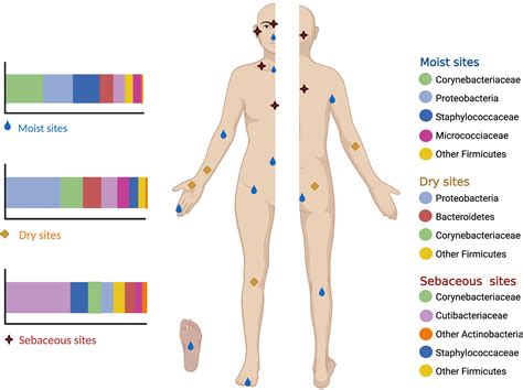 Image result for Microarray eQTL